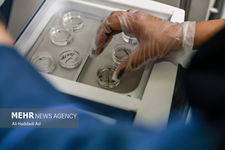اخبار روز - آخرین خبر ایران - خبرگزاری مهر
