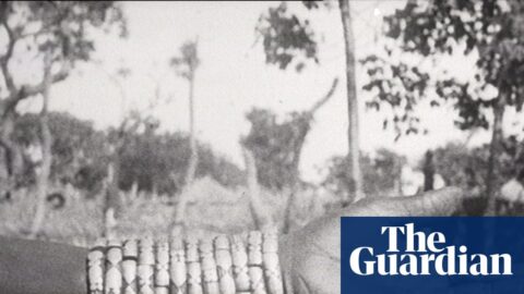 Sénégal en saison sèche (Senegal in the Dry Season), photograph, 1920 … part of Geste de Consolation, curated by Alice Diop.
